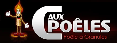 S A S Distri Flamme Services Installation Poele A Granule Au Mans Logo